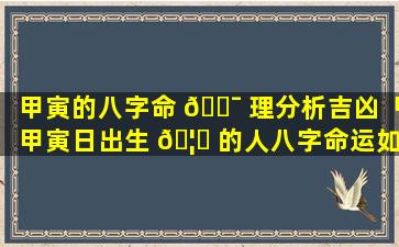 甲寅的八字命 🐯 理分析吉凶「甲寅日出生 🦈 的人八字命运如何」